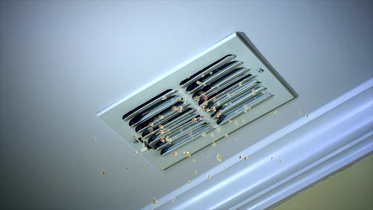 Reliable WI Airduct Cleaning Solutions